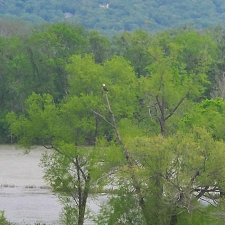 Elder Mountain Room At Tennessee Riverplace チャタヌーガ エクステリア 写真