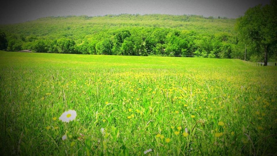 Elder Mountain Room At Tennessee Riverplace チャタヌーガ エクステリア 写真