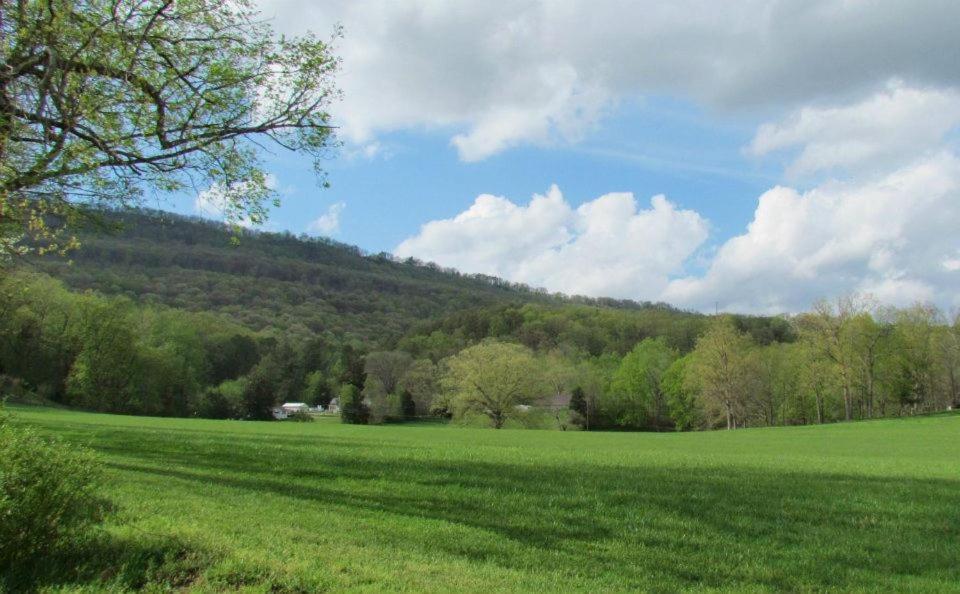 Elder Mountain Room At Tennessee Riverplace チャタヌーガ エクステリア 写真