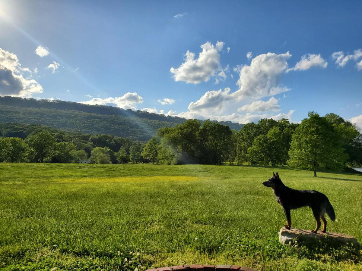 Elder Mountain Room At Tennessee Riverplace チャタヌーガ エクステリア 写真