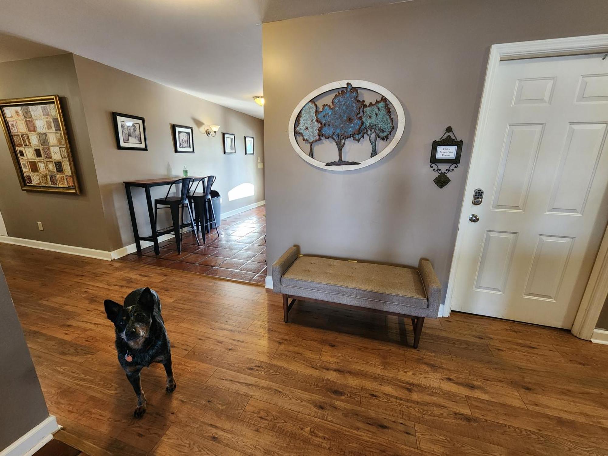 Elder Mountain Room At Tennessee Riverplace チャタヌーガ エクステリア 写真